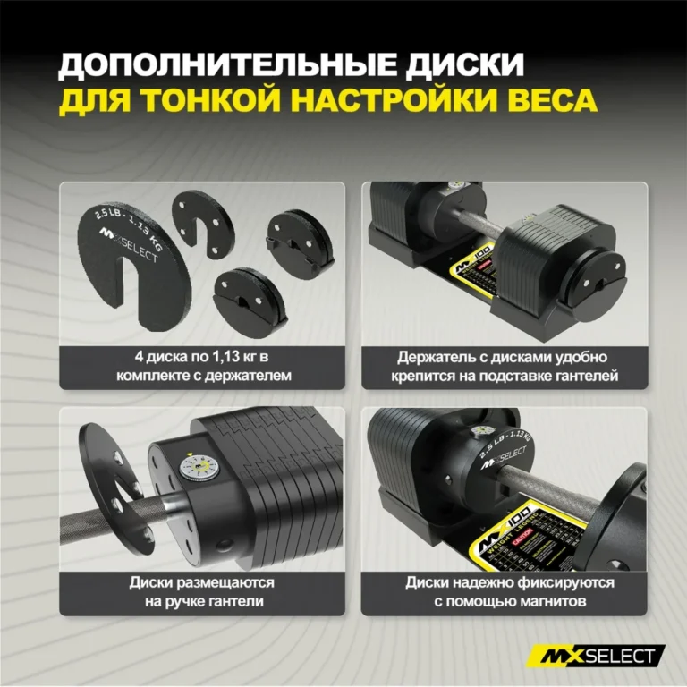 Магнитный вес MXIW2.5 на гантели MX100 EVO