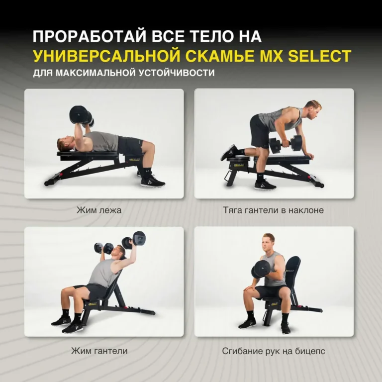 Упражнения на универсальной скамье MX Select